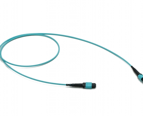 1x72f MTP to 1x72f MTP 72-fiber patch cable