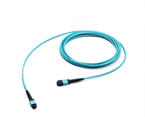 1x24f MTP to 1x24f MTP 24-fiber trunk cable