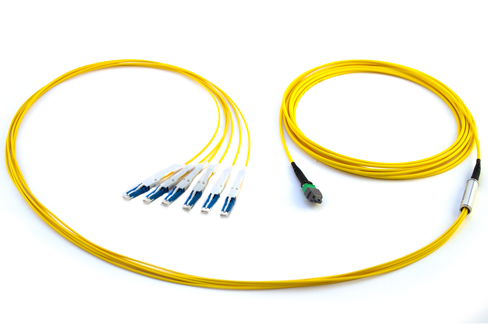 1x12f MTP – 06x CS 12-fiber Duralino fanout