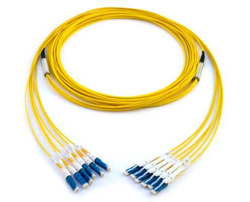 CS – CS 12F-fiber Duralino trunk