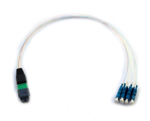 1x12f MTP – 04x SN 900um 08-fiber direct split