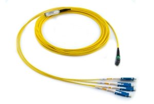 1x12f MTP – 04x SN 08-fiber Duralino fanout