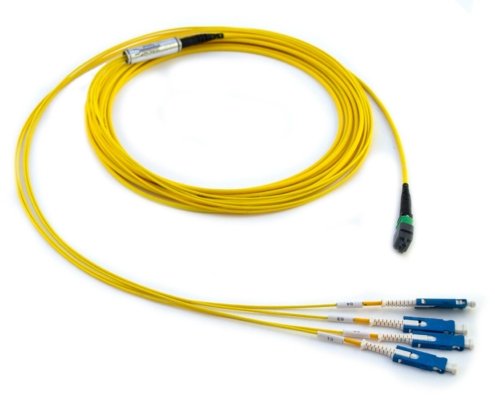 1x12f MTP – 04x SN 08-fiber Duralino fanout